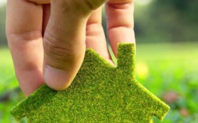 Make it green – How sustainability turned from a fad into a lifestyle