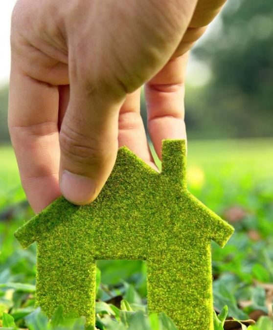 Make it green – How sustainability turned from a fad into a lifestyle